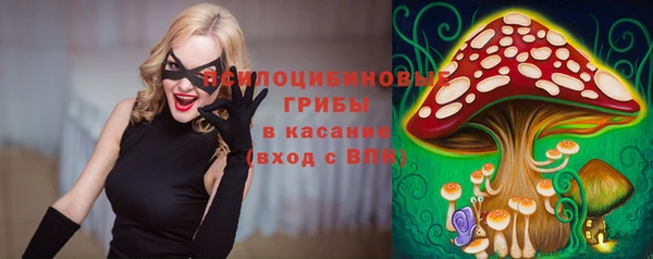 apvp Алексеевка
