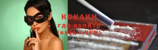 бошки Алексин